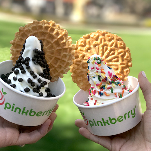 Snickerdoodle Cookie Pinkberry flavors